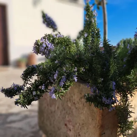 Amazing Casa Fermeglia With Private Jacuzzie And Perfect Panoramic View