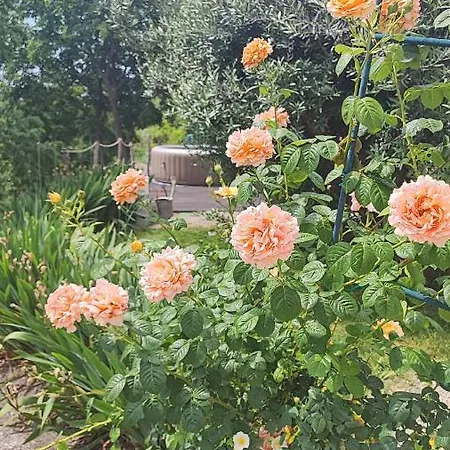 Amazing Casa Fermeglia With Private Jacuzzie And Perfect Panoramic View Daire Roč