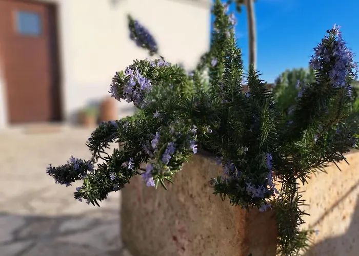 Amazing Casa Fermeglia With Private Jacuzzie And Perfect Panoramic View